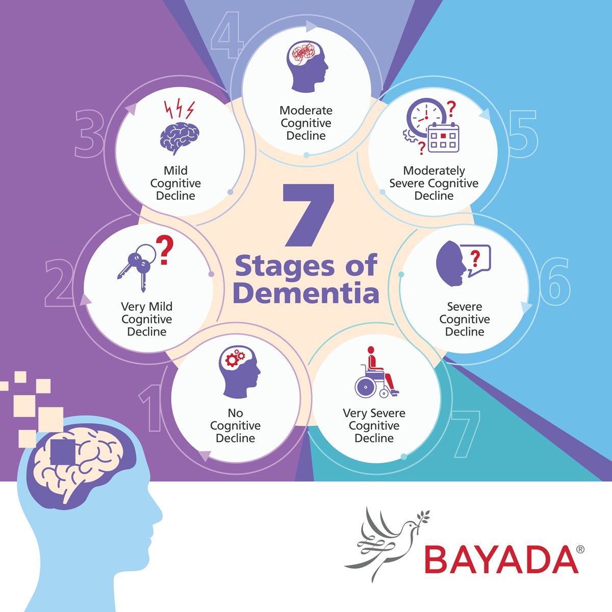 The stages of dementia