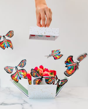 A hand removing the top of box. Inside the box are colorful paper butterflies flying out.